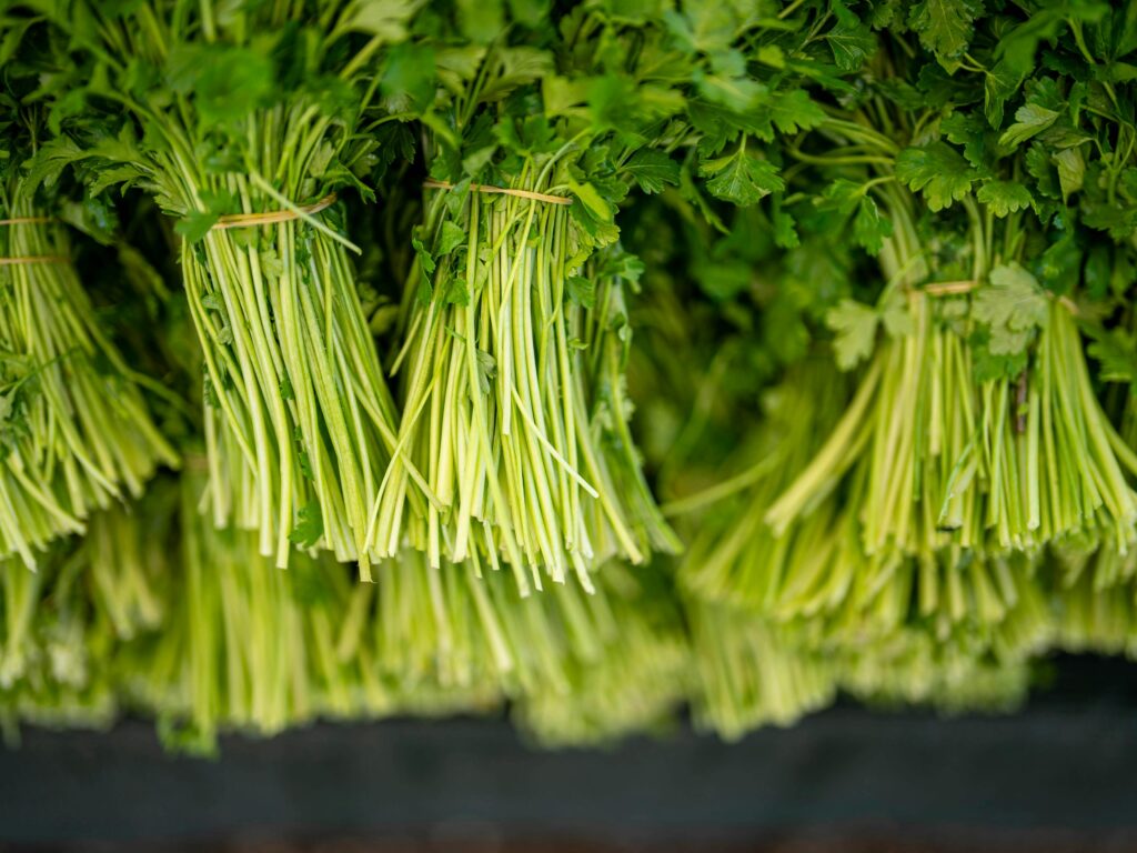 Method of Soil Preparation