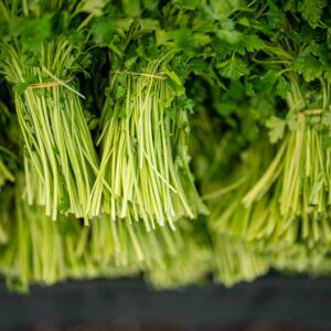 Method of Soil Preparation