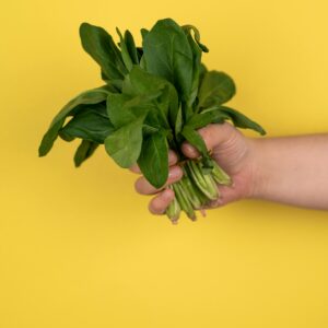 Ploughing for Dry Lands